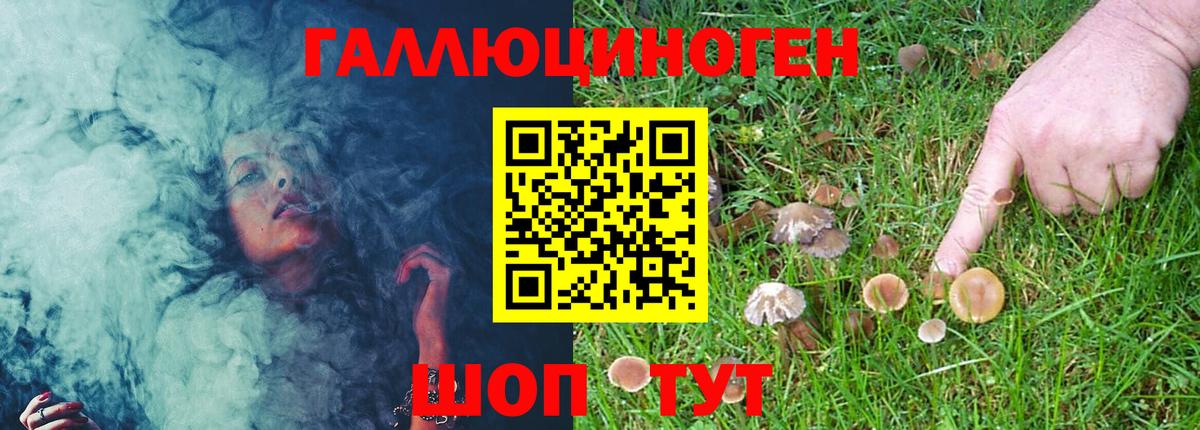 Псилоцибиновые грибы прущие грибы Тосно