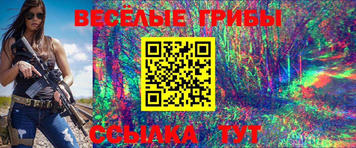Галлюциногенные грибы Psilocybine cubensis  Галлюциногенные грибы GOLDEN TEACHER  Тосно  цены   Вход с VPN 